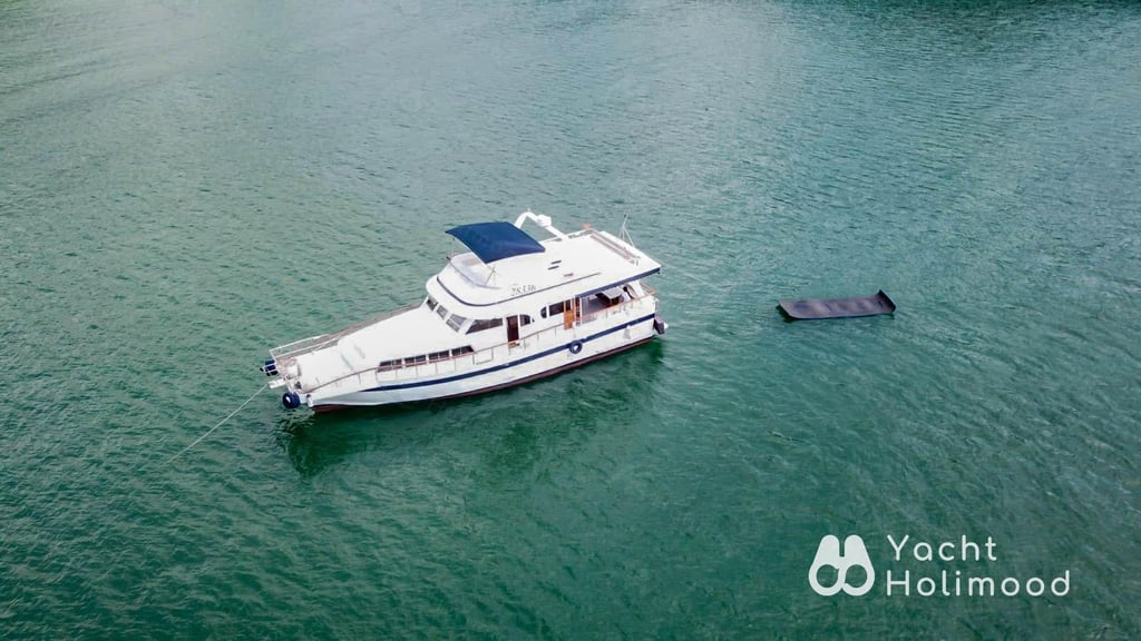 RS01 City Night Charter Junk Boat 2
