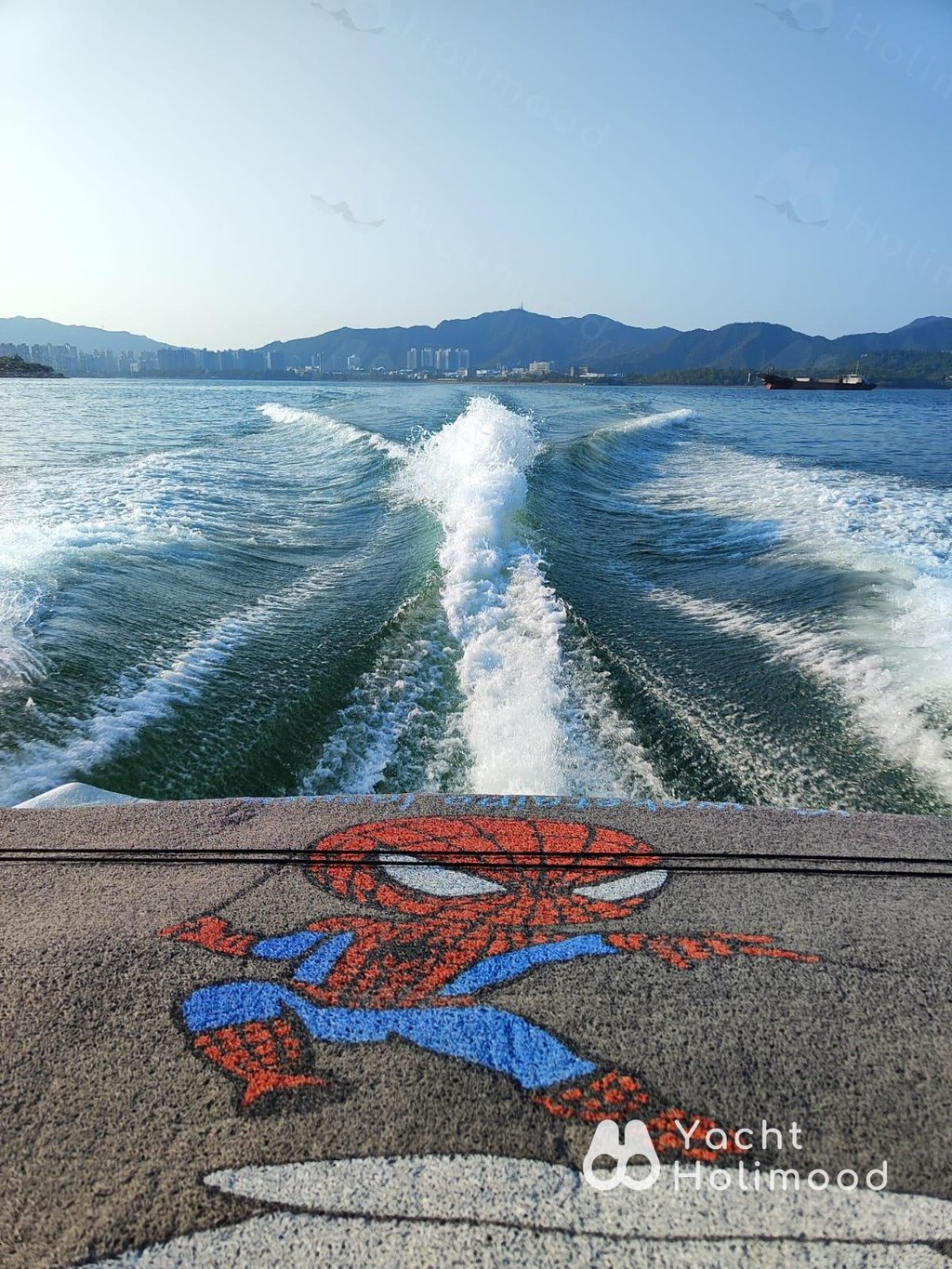 IP01 大埔 WakeSurf 適合專業 或 新手的您（附保暖衣，淡水沖身） 3