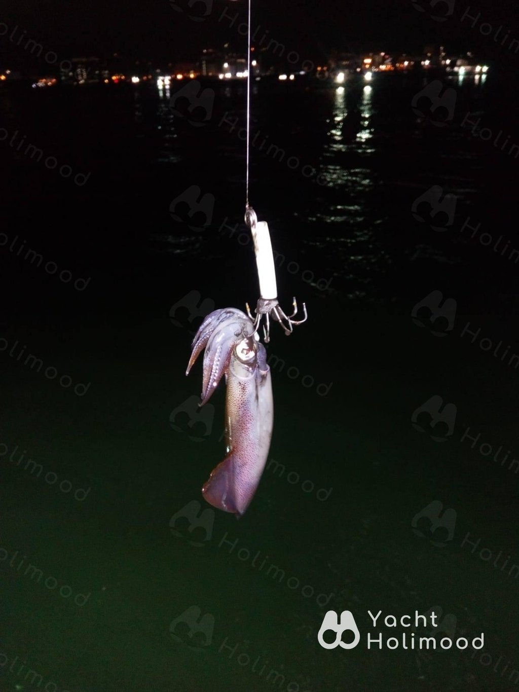LL01 西貢晚間遊艇 釣墨魚 可加船上晚餐 10