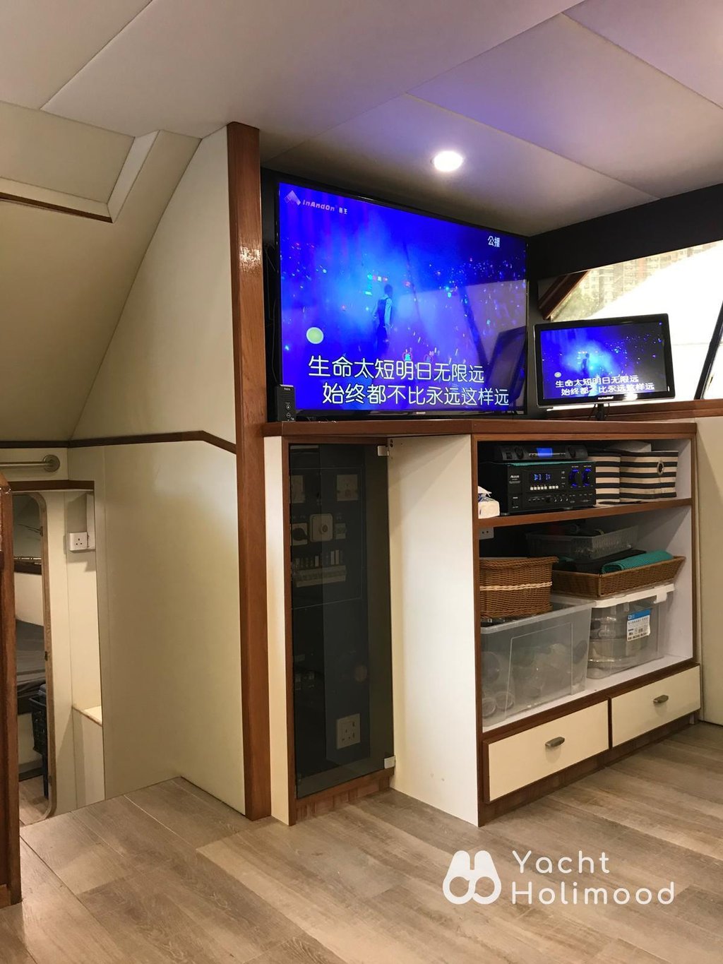FT01 黃金海岸上船！日本專業釣魚船出租【頂配聲納魚探＋海豚觀賞】首選 11