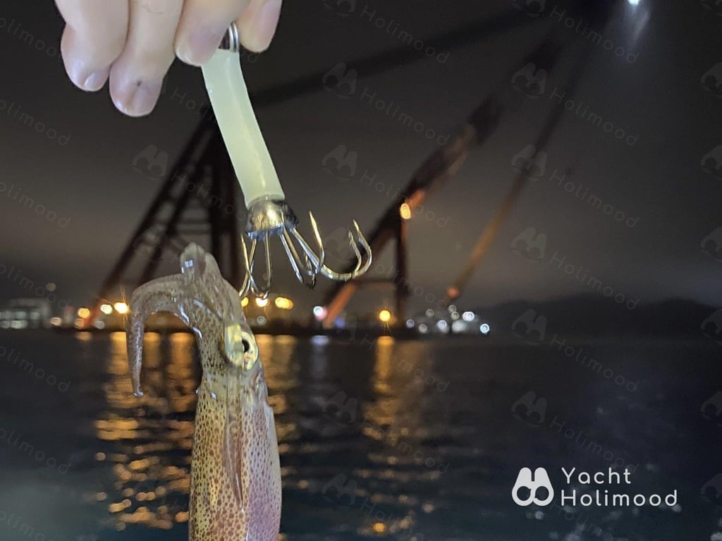 SL02 夜遊維港 / 釣墨魚遊艇（經驗傳授 墨魚滿載而歸） 28