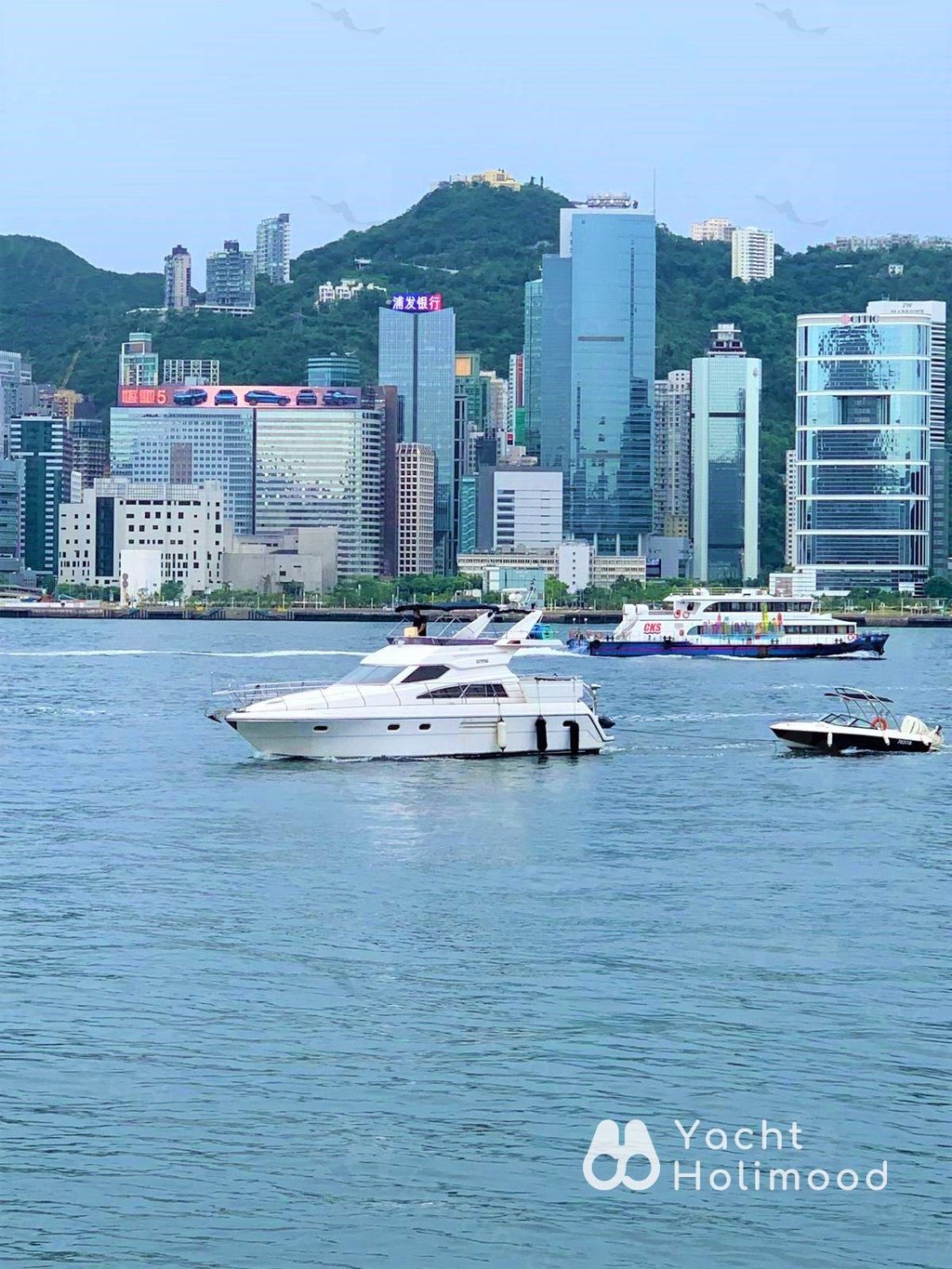 AA01 小型游艇日间船河（中环 / 尖沙咀上落，包水上活动） 10