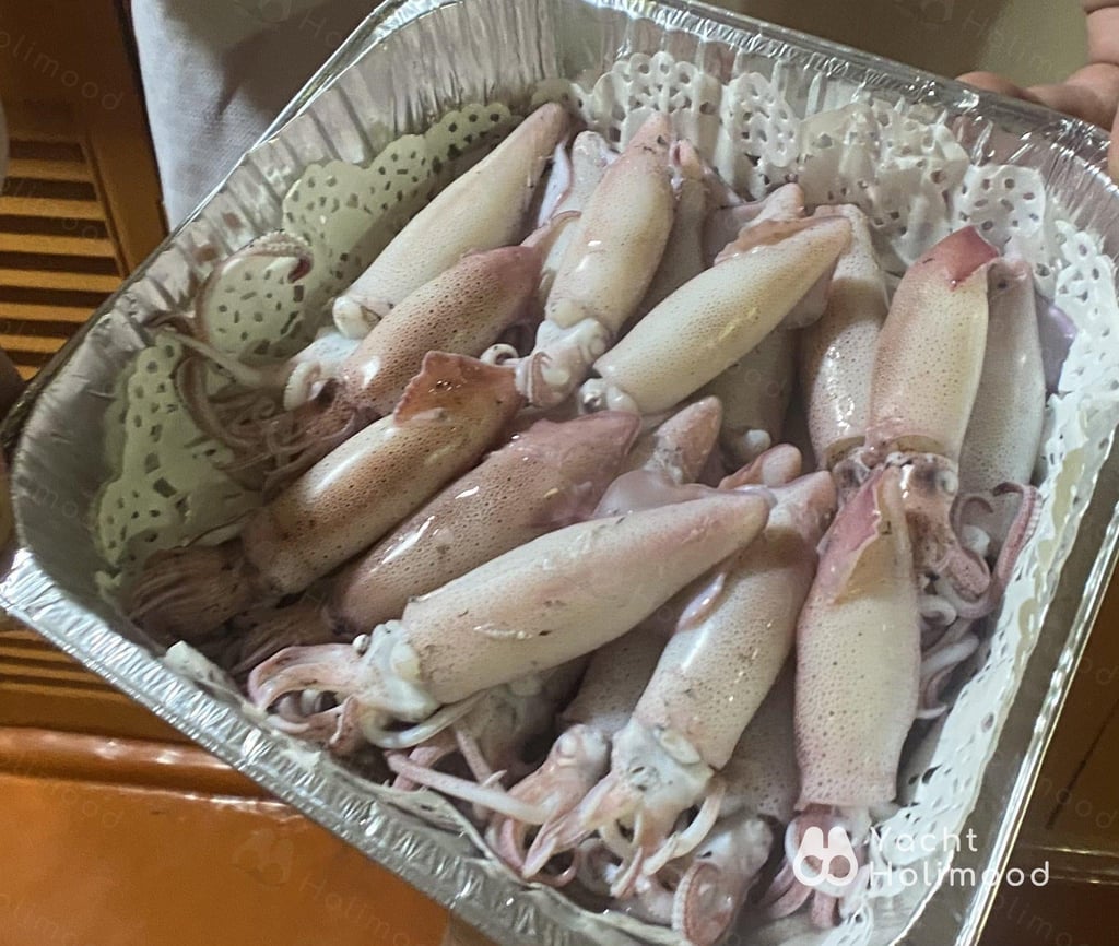 CL01 西貢晚間釣墨魚送無酒精飲品 7