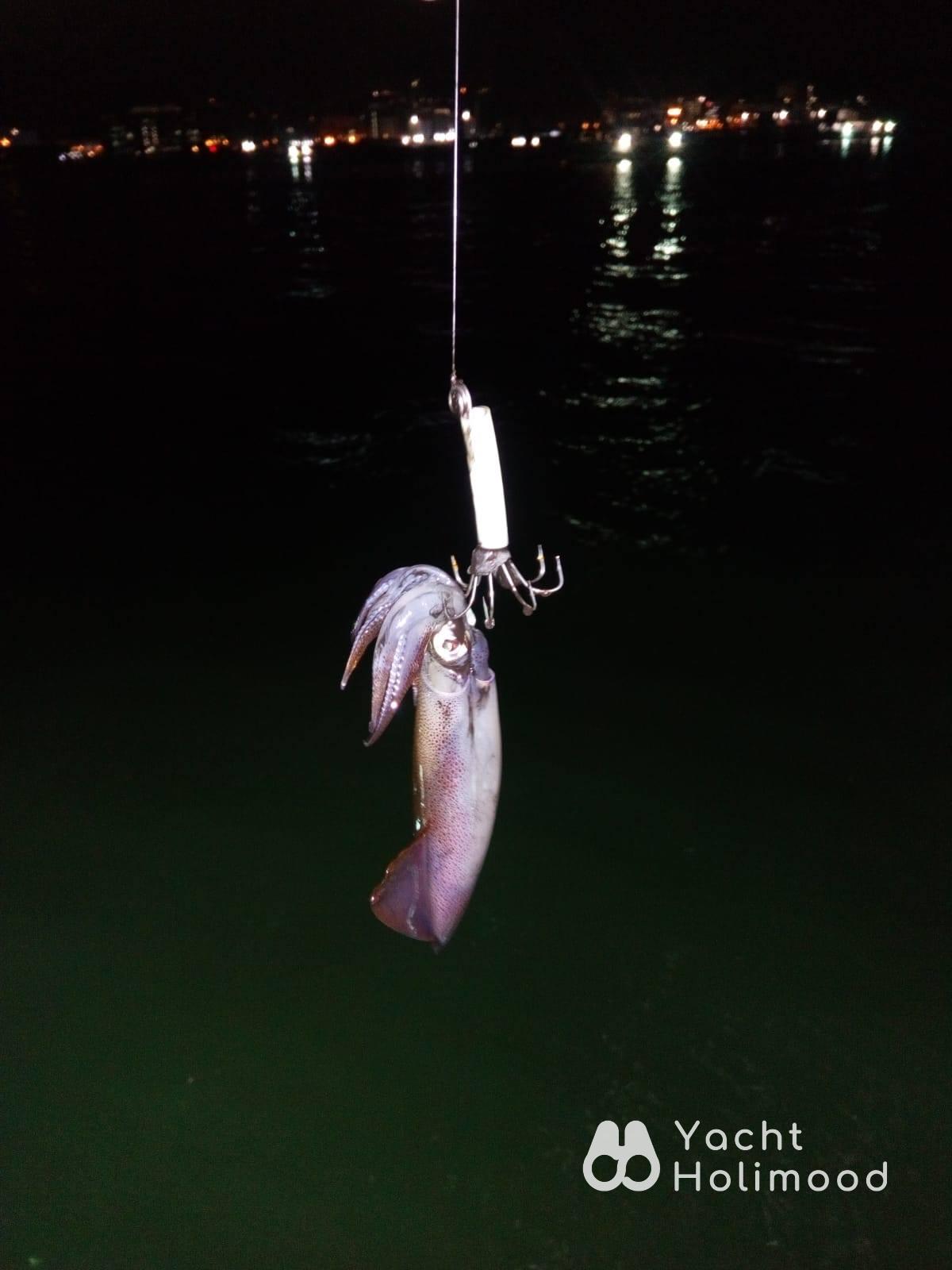 LL01 Sai Kung Junk Boat Night Charter / Squid Fishing 10