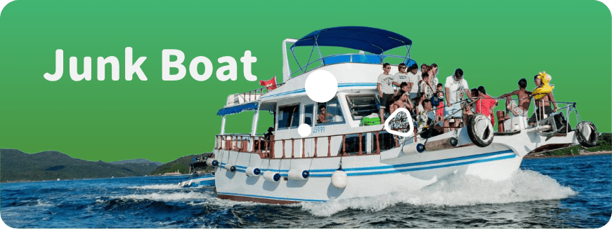 Holimood - Junk Boat
